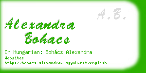 alexandra bohacs business card